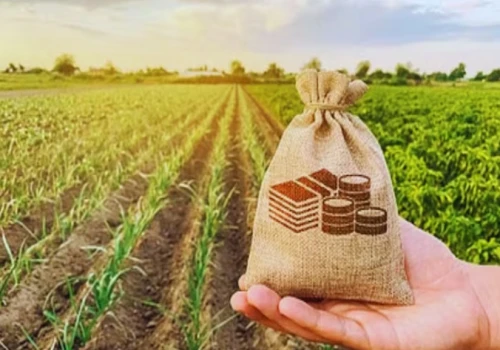 Union Cabinet Greenlights ₹13,966 Crore Investment for Agriculture & Food Security